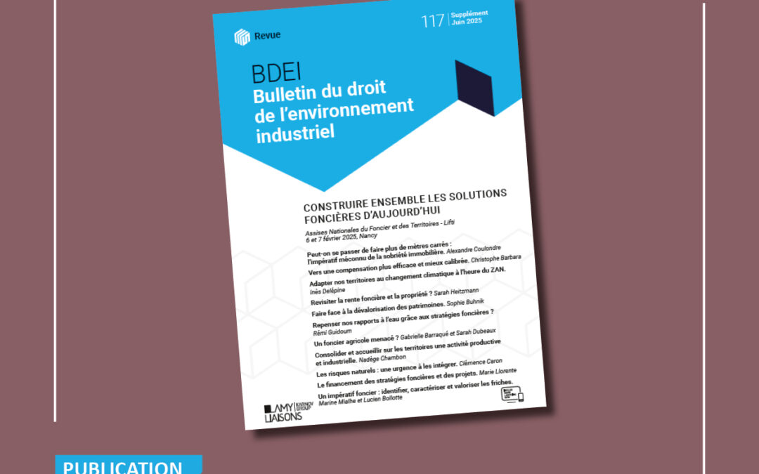 BDEI – Construire ensemble les solutions foncières d’aujourd’hui