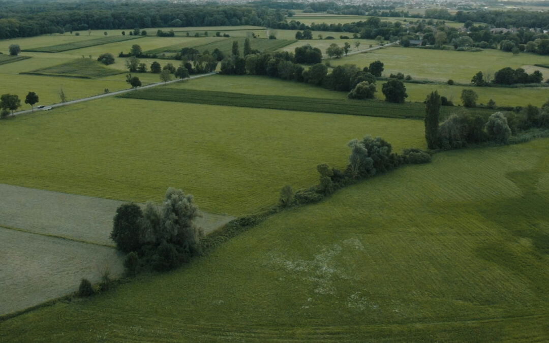 Le grand renversement foncier de la loi d’urgence agricole
