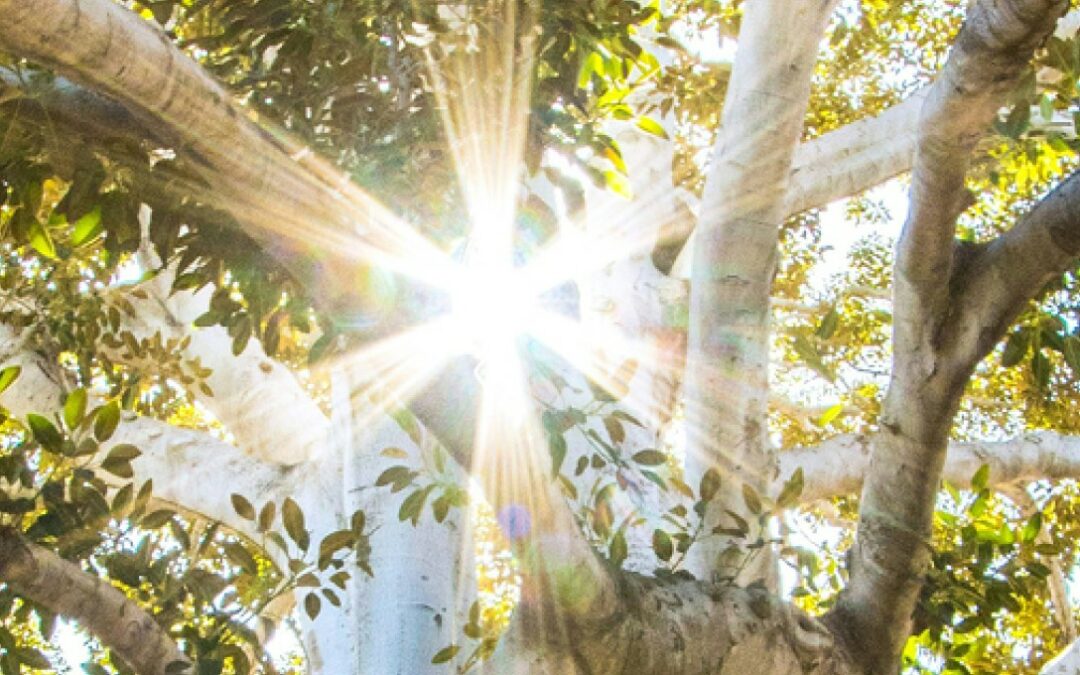 Thème 01 – Intégrer l’environnement dans les projets d’implantation industrielle et d’infrastructures.